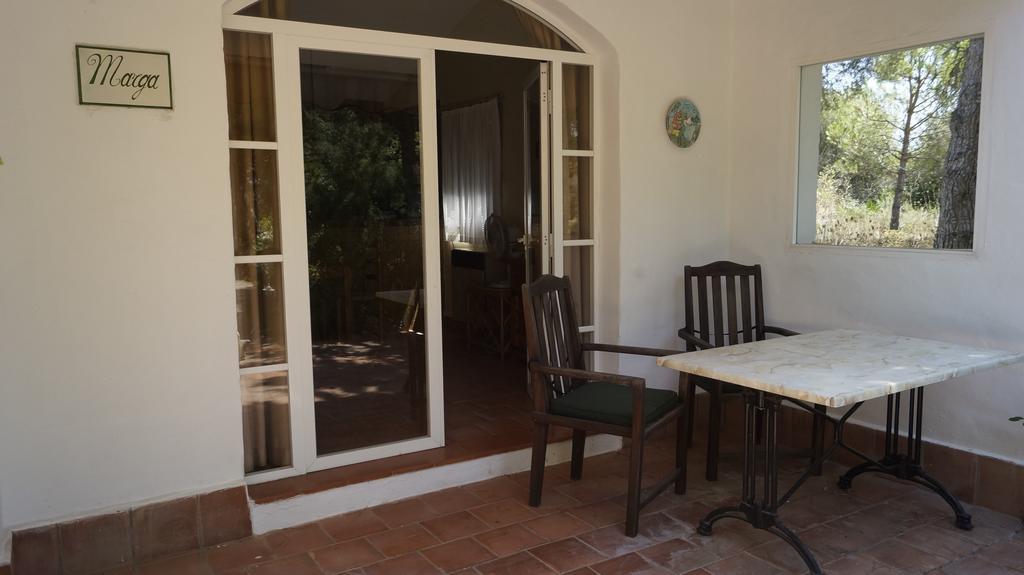 El Campus Villa Alaior Rum bild