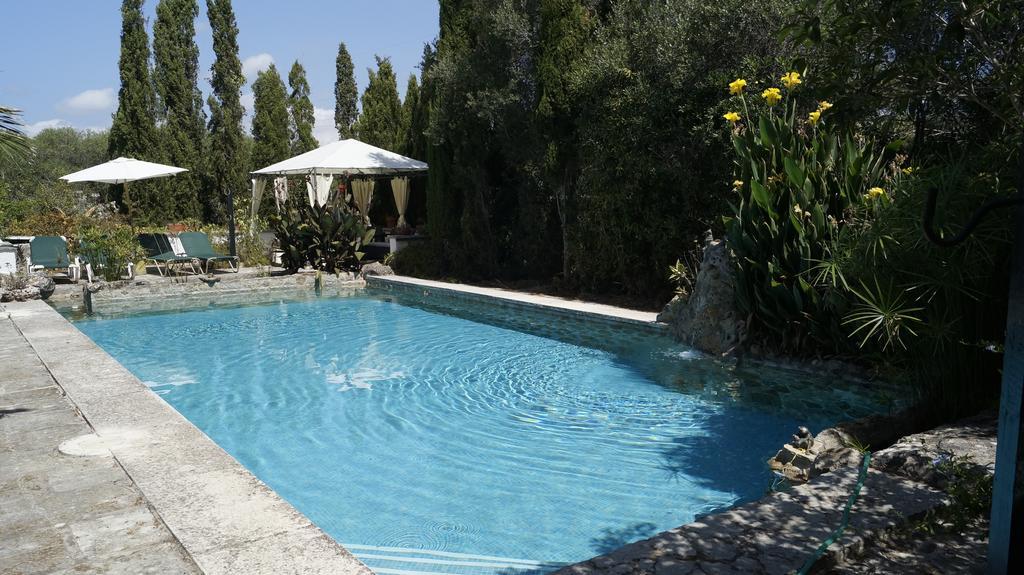El Campus Villa Alaior Rum bild