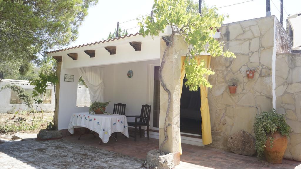 El Campus Villa Alaior Rum bild